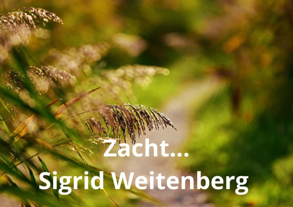 Zacht; Sigrid Weitenberg 